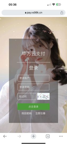 LeavePay免授权最新版 三网免挂免输入-毕方资源网