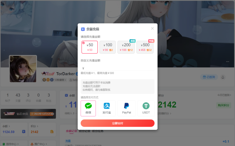 子比主题USDT支付插件-毕方资源网