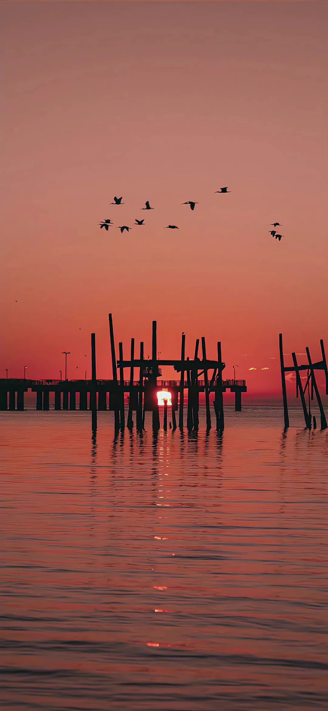 图片[10]-𝙬𝙖𝙡𝙡𝙥𝙖𝙥𝙚𝙧壁纸｜iPhone 高质感壁纸（8K高清）-毕方资源网 - 毕方博客,毕方工作室