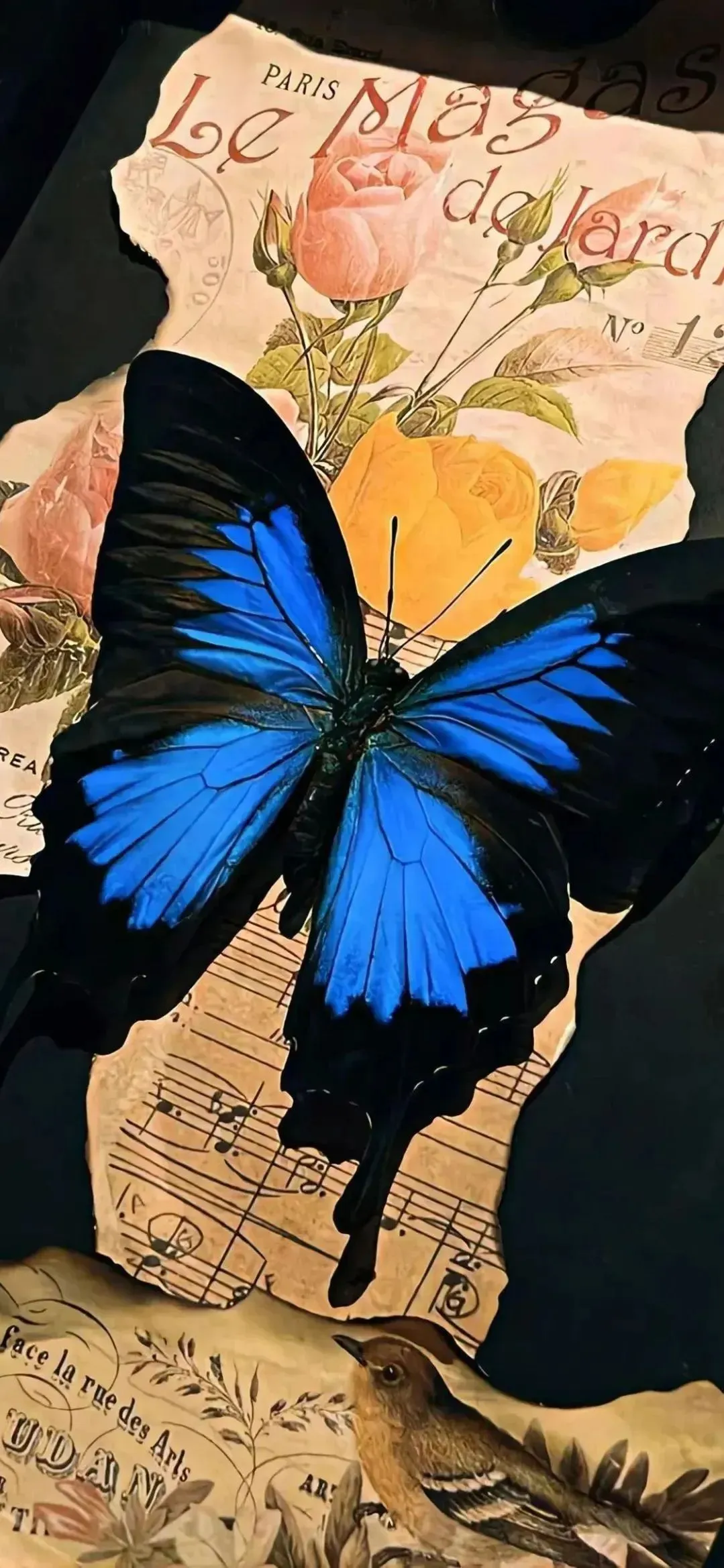 图片[6]-𝙬𝙖𝙡𝙡𝙥𝙖𝙥𝙚𝙧壁纸｜iPhone 高质感壁纸（8K高清）-毕方资源网 - 毕方博客,毕方工作室