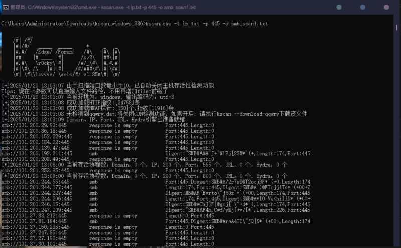 自定义端口扫描工具-毕方资源网