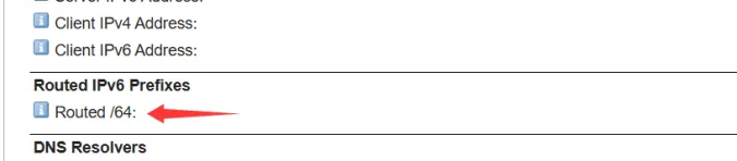 图片[8]-IPV6域名注册教程 - 毕方资源网-毕方资源网
